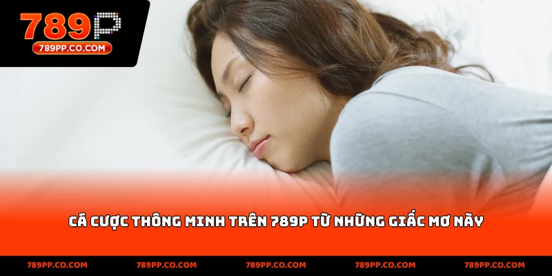 Mơ Thấy Máu 789p: Về Cá Cược Hôm Nay - ZUMOKI