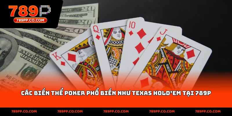 Poker Là Gì - Luật Chơi Poker Cơ Bản Cho Người Mới 2026 - ZUMOKI