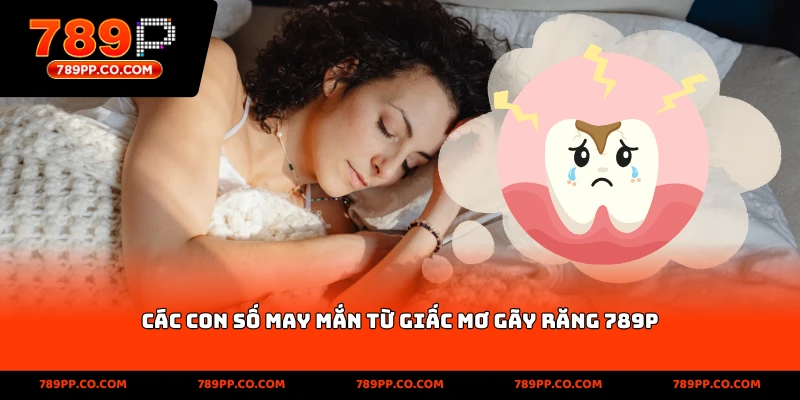 Mơ Thấy Gãy Răng 789p –Về Cá Cược Và Con Số May Mắn - ZUMOKI