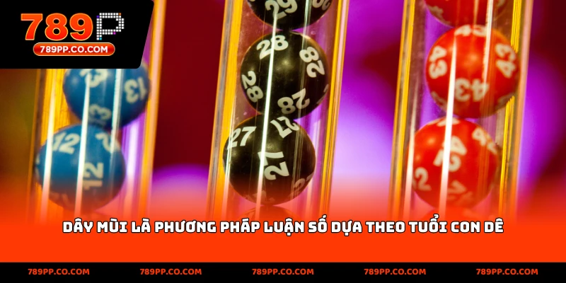 Dây Mùi Trong Lô Đề: Mẹo Và Chiến Thuật Đánh Chuẩn Xác - ZUMOKI
