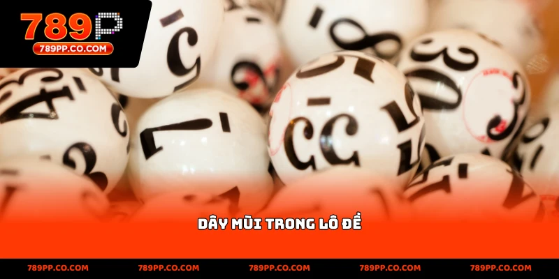 Xổ Số 789p: Hướng Dẫn Chơi Và Mẹo Trúng Thưởng Hiệu Quả - ZUMOKI