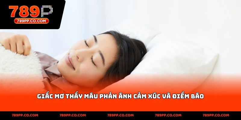 Mơ Thấy Máu 789p: Về Cá Cược Hôm Nay - ZUMOKI
