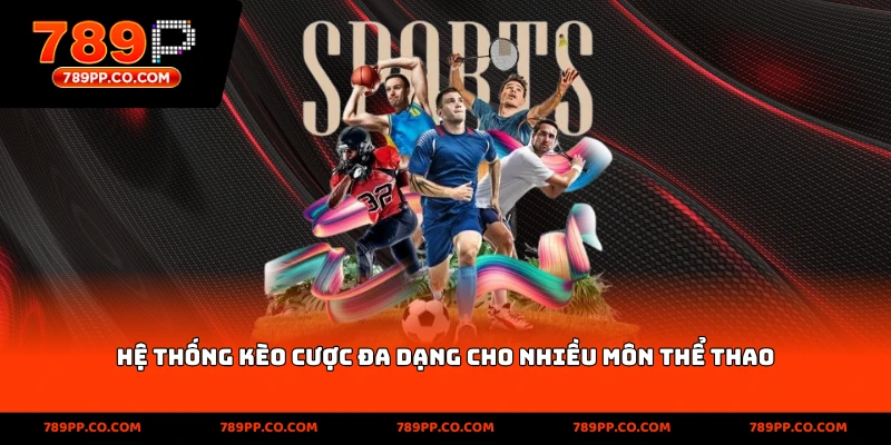 Thể Thao 789p – Cập Nhật Tỷ Số Kèo Nhanh, Chính Xác Nhất - ZUMOKI