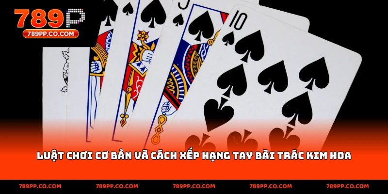 Bài Trác Kim Hoa 789p: Hướng Dẫn Chơi Chi Tiết Và Mẹo Thắng - ZUMOKI