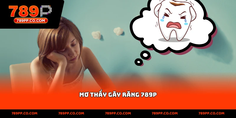Tin Tức 789p Hôm Nay – Cập Nhật Khuyến Mãi Và Sự Kiện Mới - ZUMOKI